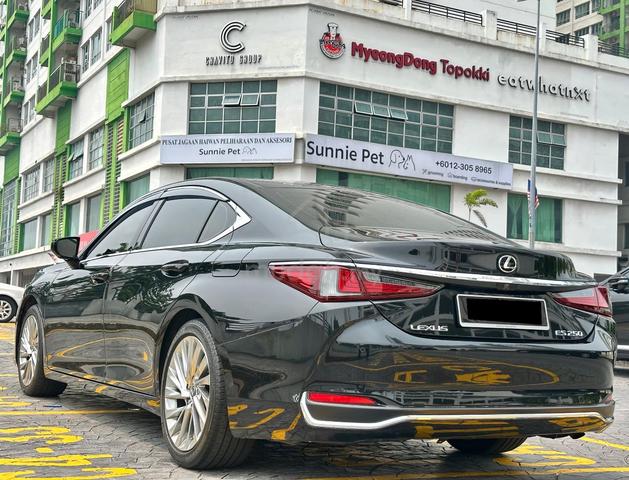 69K KM MILEAGE💥2019 Lexus ES250 2.5 LUXURY SUNROF - 3