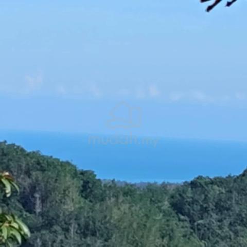 Tanah Kebun 4.89 Sugud Penampang  1