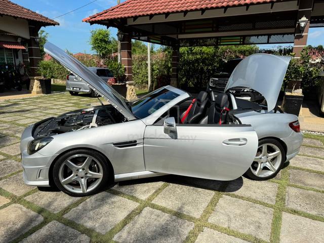2011 Mercedes Benz SLK250 BlueEFFICIENCY 1.8 (A) - 5
