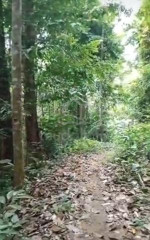 Land for Sale Kpg.Laneh, Padang Rengas, Perak 1