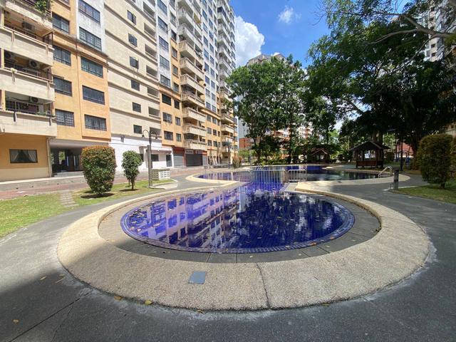 Vista Millennium Condominiums 1