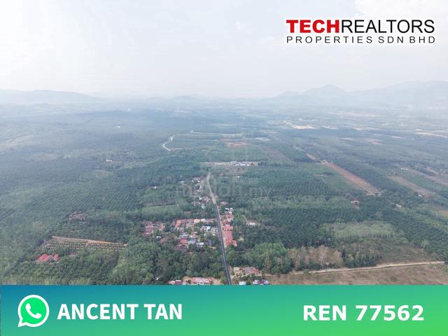 【 AGRICULTURE LAND 】Bukit Selambau Kedah FOR SALE 1