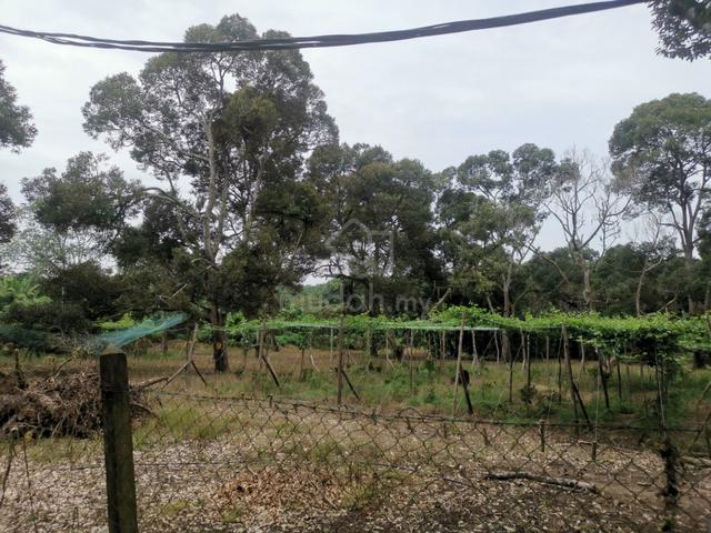 Machap Freehold Agricultural Durian land for Sales 1
