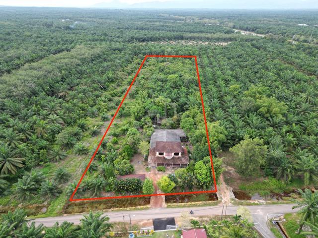 TANAH PERTANIAN SEROM, MUAR - 1.6acre|Freehold|Sawit + Banglo 2Tingkat 1