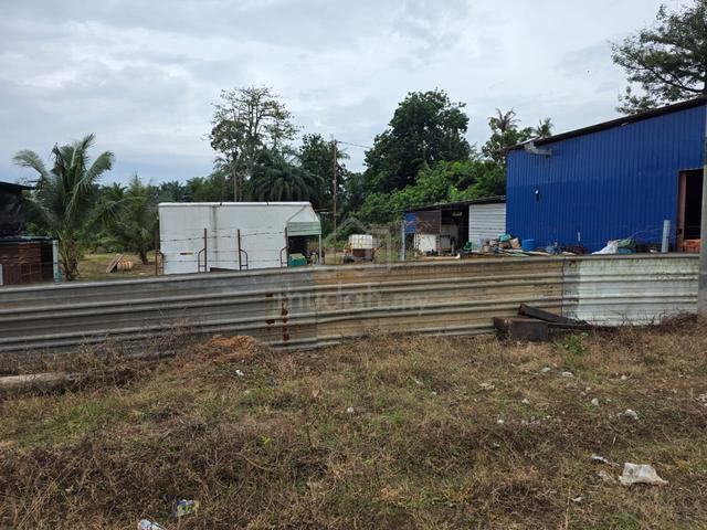 Tanah Freehold 1.45ekar Pinang Tunggal dekat Sg Petani 1