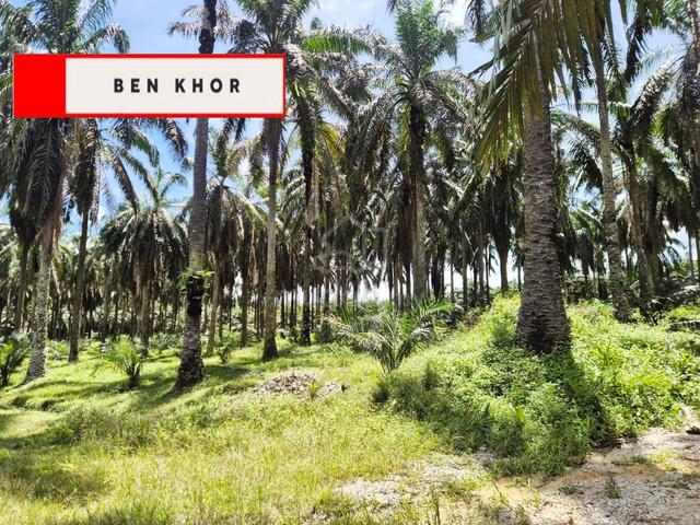 4.73 acres | Reserved Road | Second lot | selama | PERAK 1