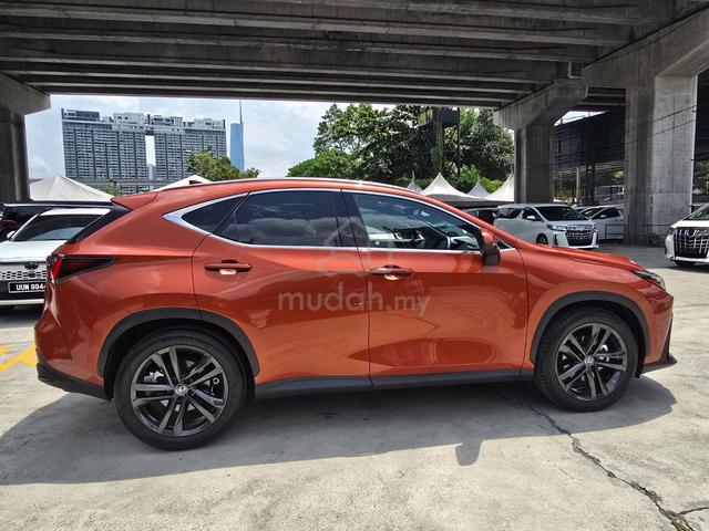 2023 Lexus NX 250 2.5 LUXURY NX250 Orange Colour - 2