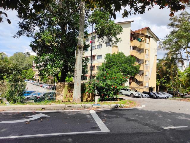 Sering Angsana 1