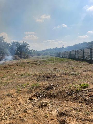 Tanah Untuk Disewa 1