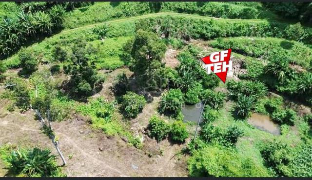 6.1 acre Kuala Kangsar Durian / Fruits Orchard Agricultural Land Perak 1