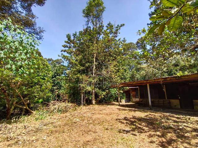 Tanah Dusun 2.3 Ekar  – Bukit Tamu, Batang Kali 1