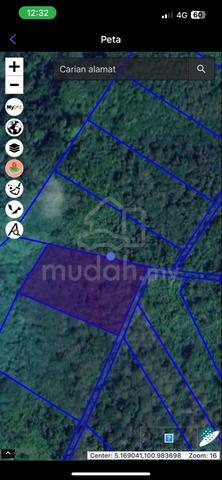 Kebun getah dan dusun durian untuk dijual 4