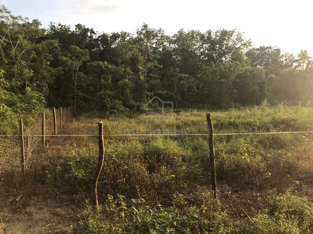 Banglo Lots For Sale - Tanah Merah Kelantan 1