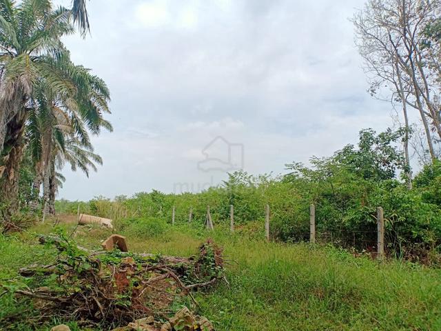 Tanah 4 Ekar Untuk Dijual @ Kampung Sempang, Merlimau, Melaka 1