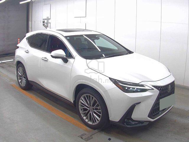2024 Lexus NX250 Version L - 1