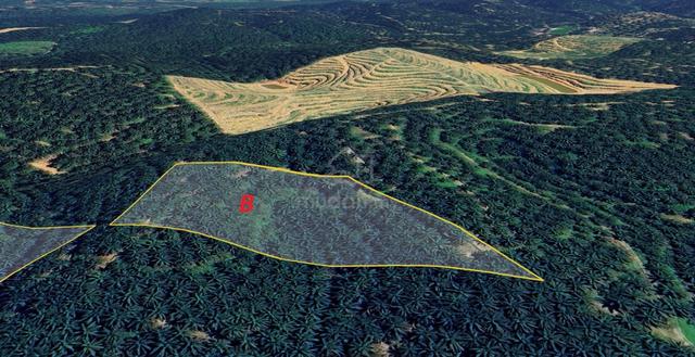 Tanah Sawit Untuk Dijual Di Pulau Kamiri, Kuala Kangsar 1