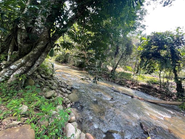 FREEHOLD, TANAH 1 EKAR TEPI SUNGAI [DGN CHALET] Janda Baik Kg Sum Sum 2