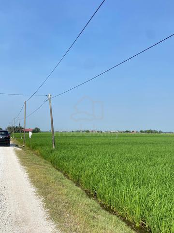 Tanah Sawah 2.91 Ekar Untuk Dijual Easy Access Tanjung Karang 1