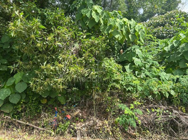 Land For Sale 1