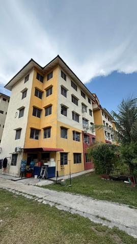 Pauh Damai 1