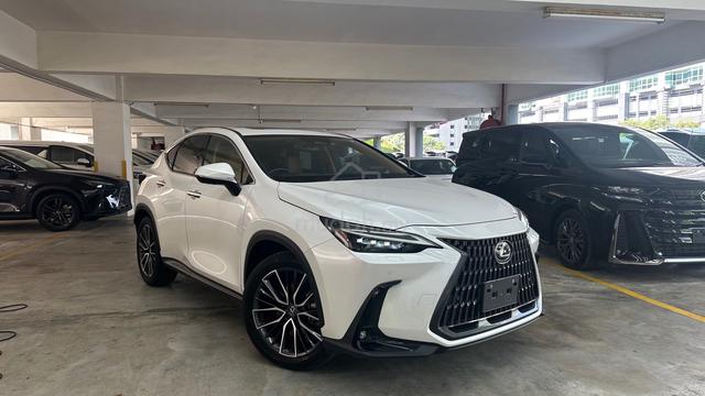 SUNROOF Dim 2023 Lexus NX250 2.5 VERSION L HUD BSM - 1