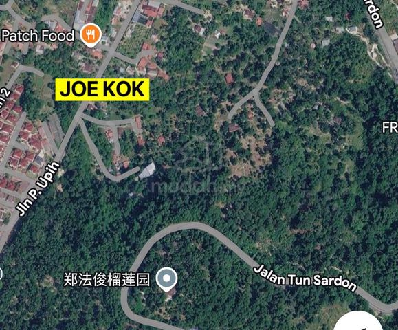 Durian farm |balik pulau|road access | electricity |water 1