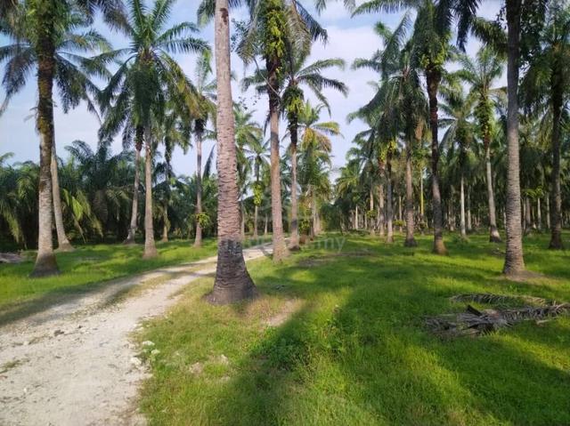 8.3 acres for sale 1