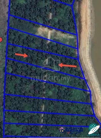 Tanah sawit nak Jual murah semujok 1