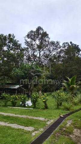 Kimanis CL Land FOR SALE 1