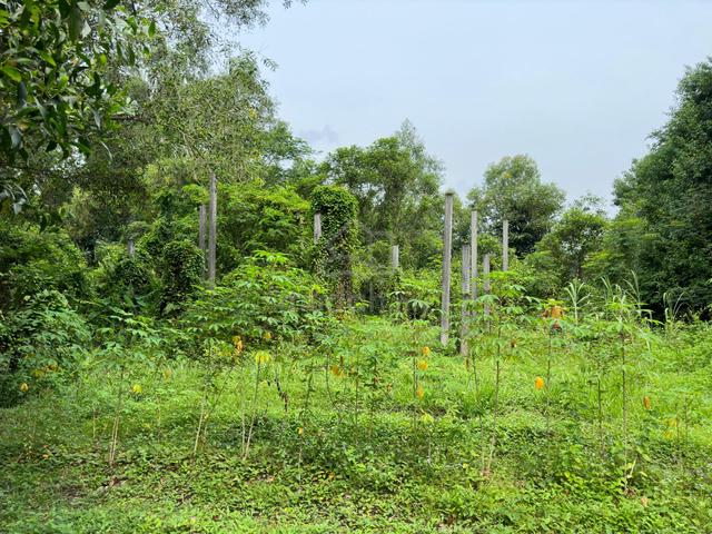 Land For Sale 1