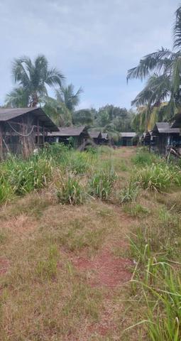 2.5 Ekar Tanah Pokok Kelapa Kg Sri Rahmat Pogoh Segamat Johor Segamat 1