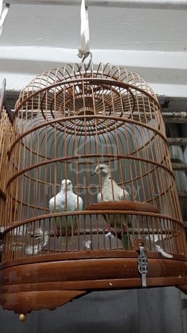 Carousel Image