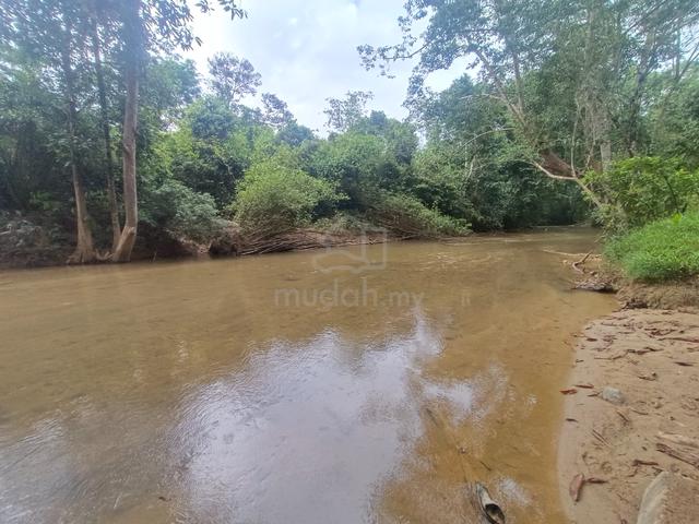 Tanah Kebun 6.3 Ekar Tepi Sungai Cantik Kg. Langkap, Setiu 1