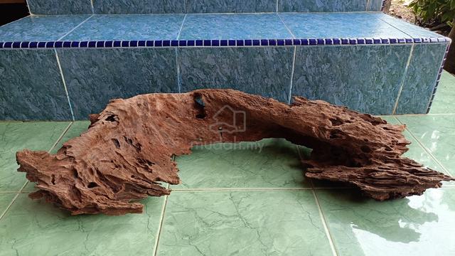 Carousel Image