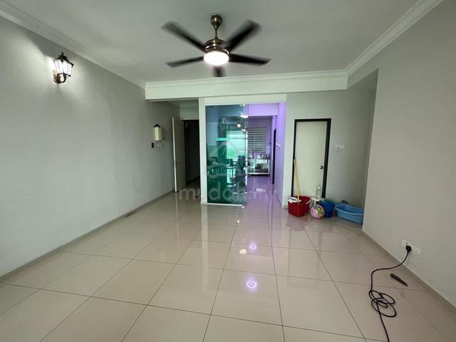 The Oasis 3