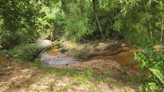 Dusun dan rumah 1