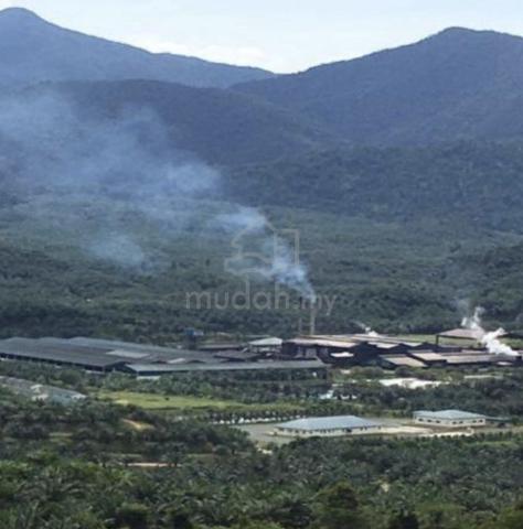 Palm Oil Mill & Plantation Sandakan, Sabah for Sale 1