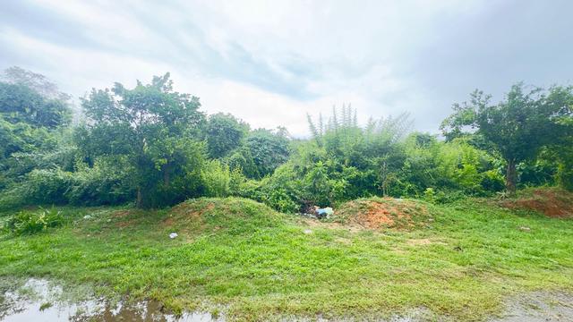 Tanah Pertanian Changlun 2 ekar / Kg Paya Lantau 1