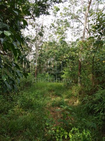 Tanah Pertanian Murah Di Kuala Klawang Jelebu Negeri Sembilan 1