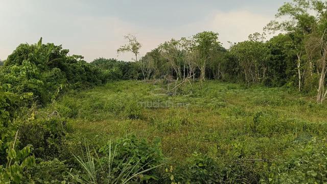 Below Market Land for Sale @Batang Kali Selangor 93 acres Freehold 1