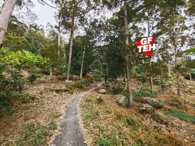 53.13 acre Durian Farm | Agricultural Land | Teluk Kumbar | Penang 1