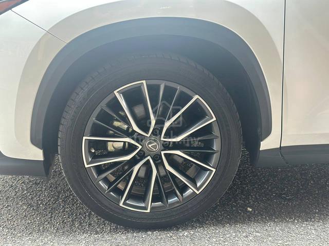 2023 Lexus NX250 2.5 LUXURY MY22 (A) - 4