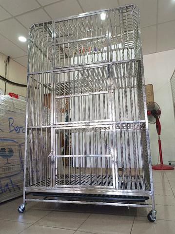 Carousel Image