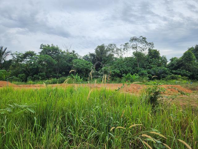 Tanah Tapak Rumah Untuk Dijual 5