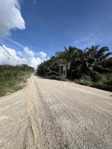Sungai Tiram Land Cheapest in Market 1