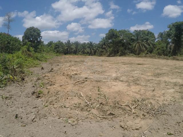 Tanah Dusun 0.68 Ekar di Pulau Tawar, Jerantut – Mukim Pulau Tawar 1