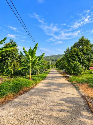 Alor Gajah Land /Well Maintained 1