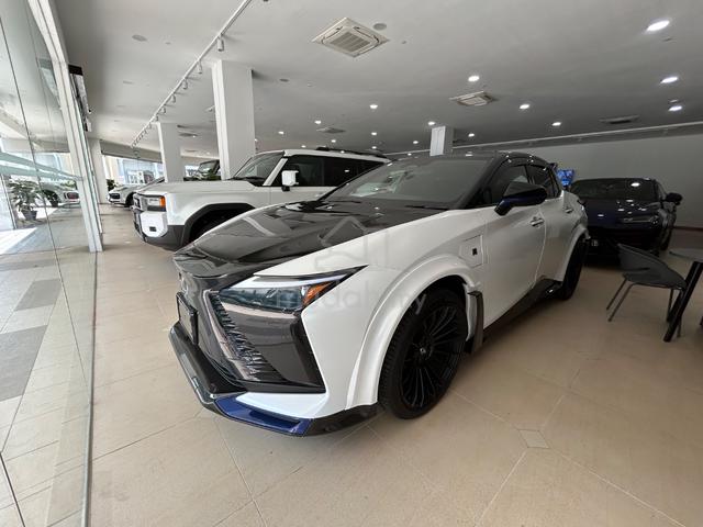 2024 Lexus RZ 450E - 2
