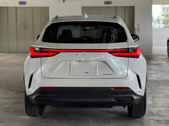 2023 Lexus NX 250 2.5 VERSION L PAN ROOF / 2nd ES - 5