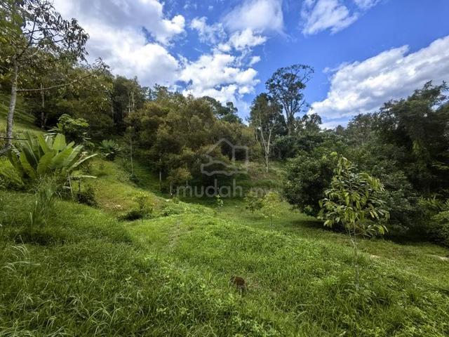 4 Acre Freehold Durian Farm Facing Main Road Bentong Karak Highway 1